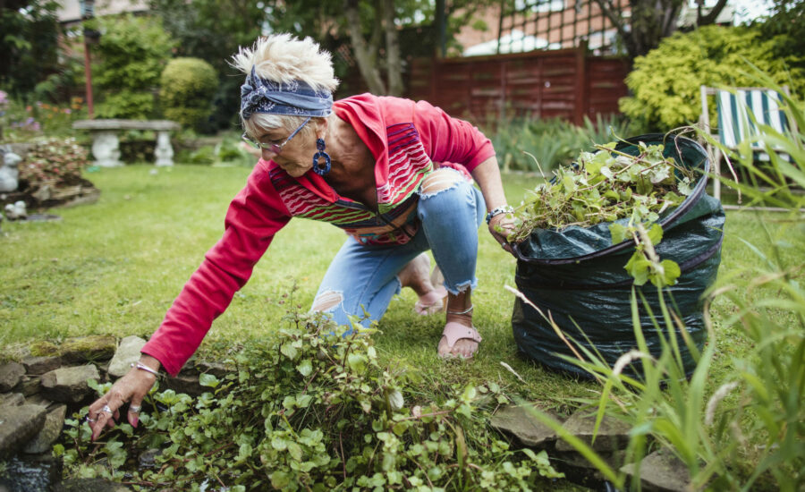 Une femme ramassant des herbes dans son jardin - financer ses projets pour une retraite occupée