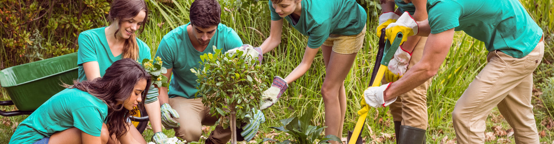 Des collègues travaillant ensemble pour ramasser des herbes