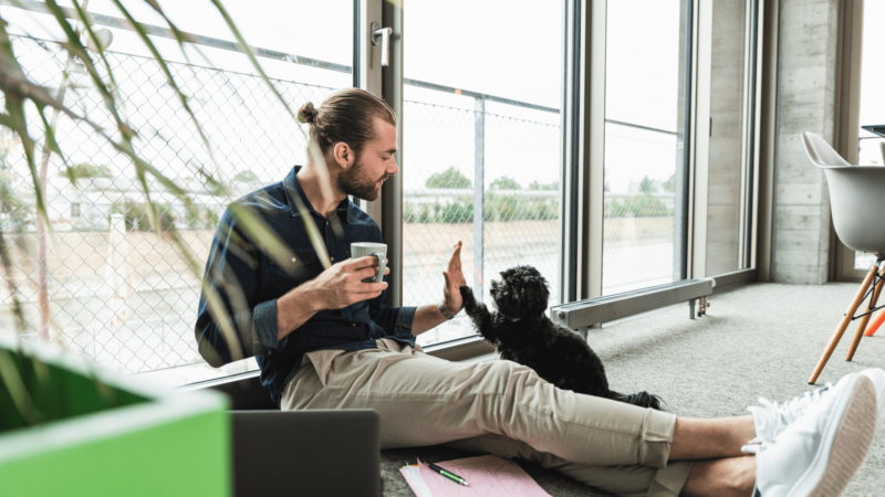 Un homme sur son lieu de travail check un petit chien noir