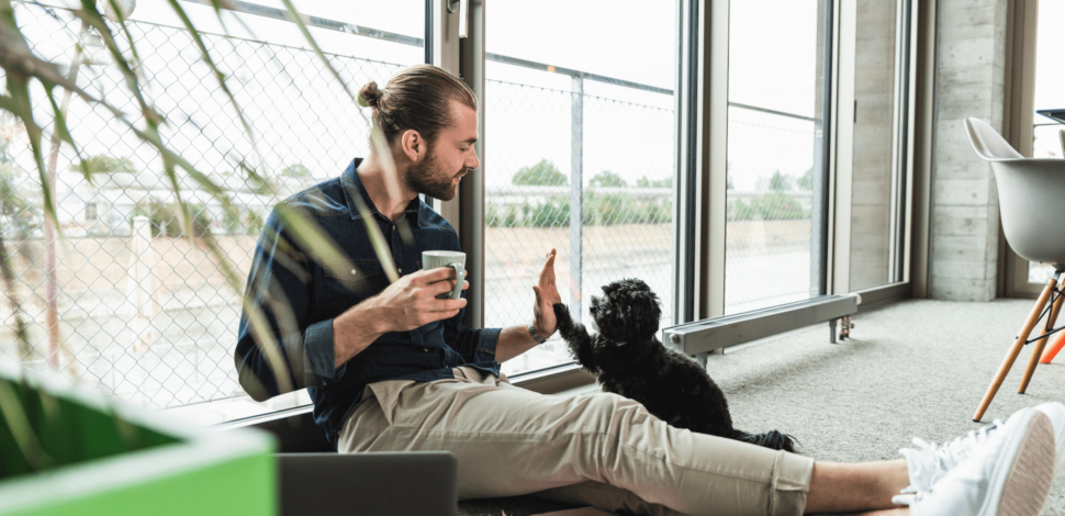 Un homme sur son lieu de travail check un petit chien noir