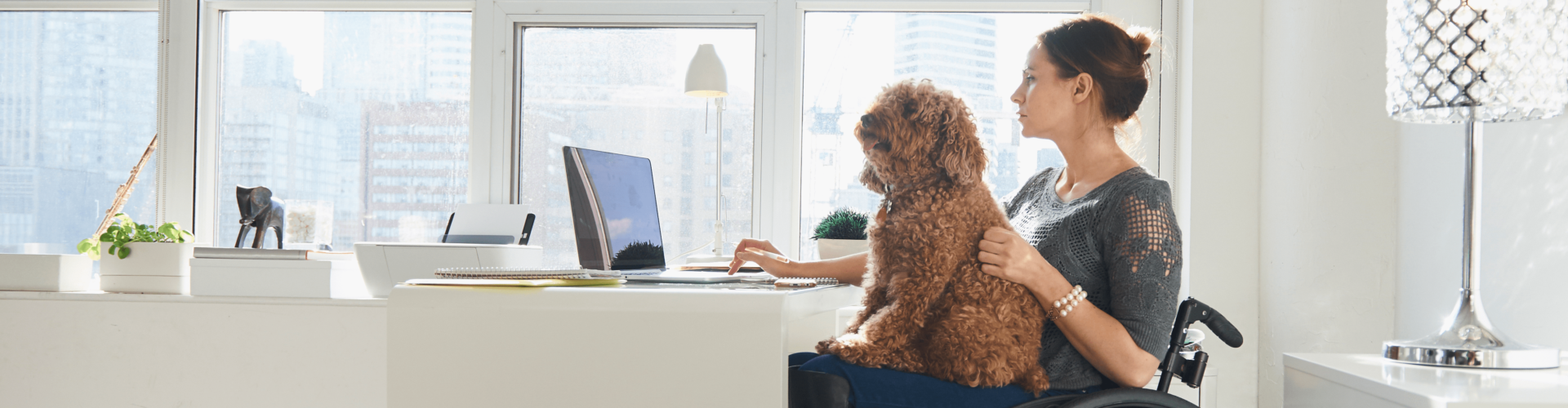 Une femme est à son bureau avec un chien marron sur ses genoux